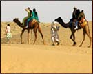Camel Safari, Jaisalmer Tour & Travel