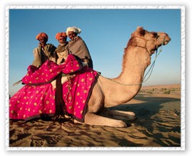Camel Safari, Dholia Tour