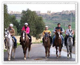 Horse Safari Tour