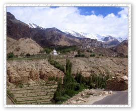 monastery, Ladakh Tour  & Travel