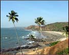 Calengute Beach, Goa
