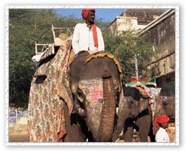 Elephant Riding at Amber Fort, Jaipur Holidays