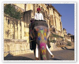 Elephant Riding, Jaipur Vacations