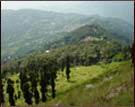 Kalimpong valley