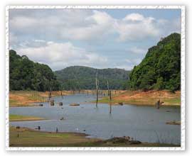 Periyar Lake, Periyar Travel Package