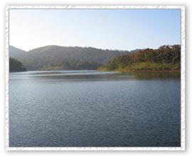 Periyar Lake, Periyar Tour & Travel