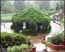 Botanical Garden, Ooty Tour & Travel