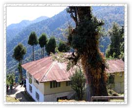 Bakhim Forest Resthouse, Sikkim Travel Package