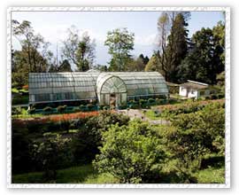 Lloyd Botanical Garden, Darjeeling Vacations