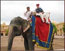 Elephant Safari at Amber Fort, Jaipur