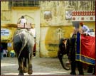 Camel Riding at Amber Fort, Jaipur 