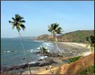 Calengute Beach, Goa