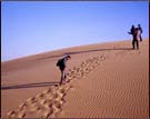 Thar Desert, Bikaner 