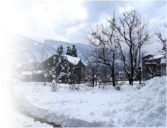 Snow Fall, Manali Tour & Travel