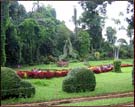 Royal Botanical Gardens, Peradeniya