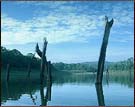 Lake of Periyar, Periyar