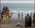 Beach of Puri, Puri 