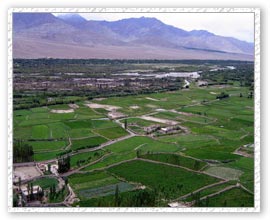 River Valley, Tea Garden Tour