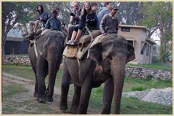 Student Group Tour, Corbett