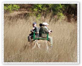 Elephant Rides, Kanha National Park